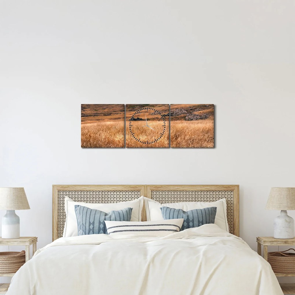 Tablou cu câmp (cu ceas) (90x30 cm)