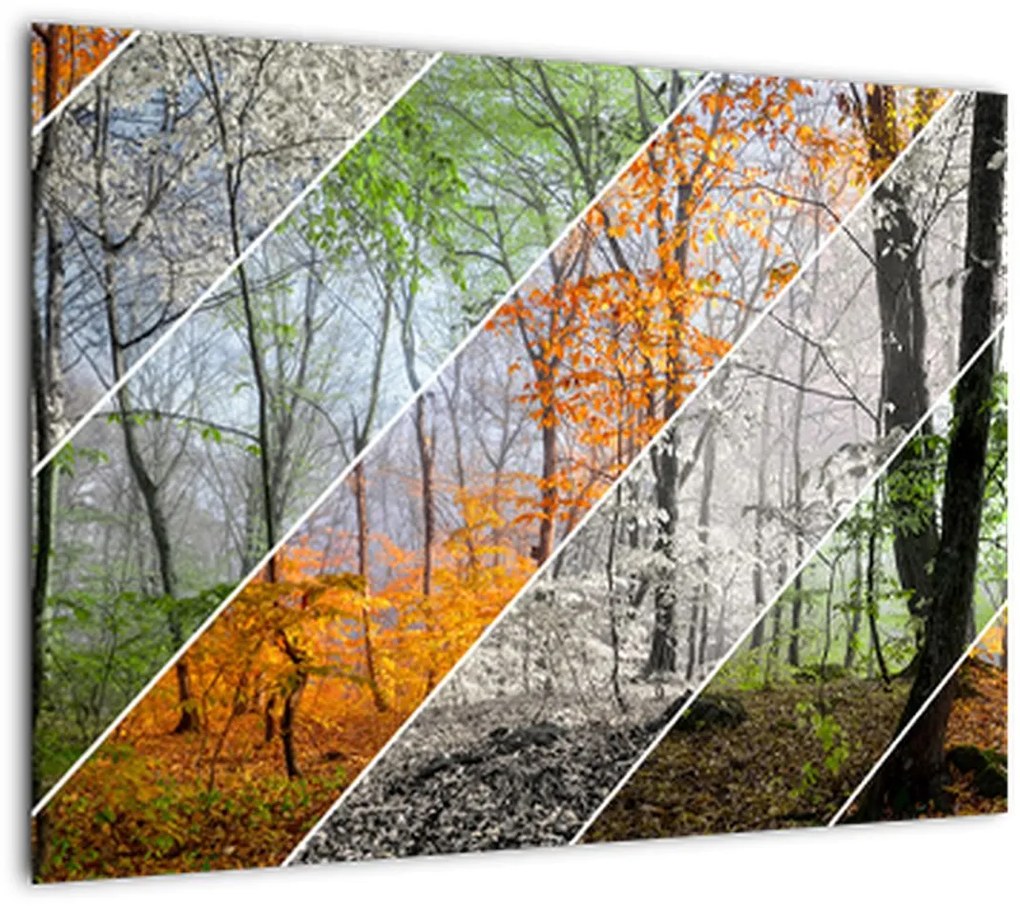 Tablou - Schimbarea anotimpurilor (70x50 cm)