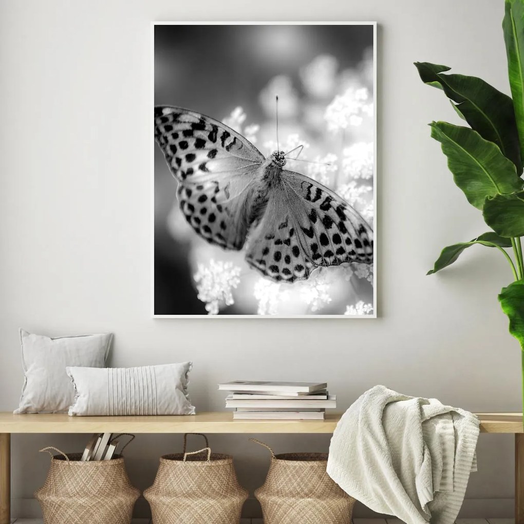 Poster - Fluture (A4)