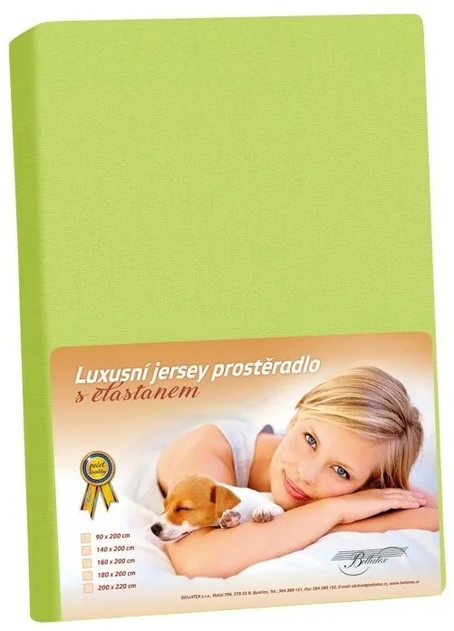Cearșaf din jersey cu elastan verde, 200 x 220 cm