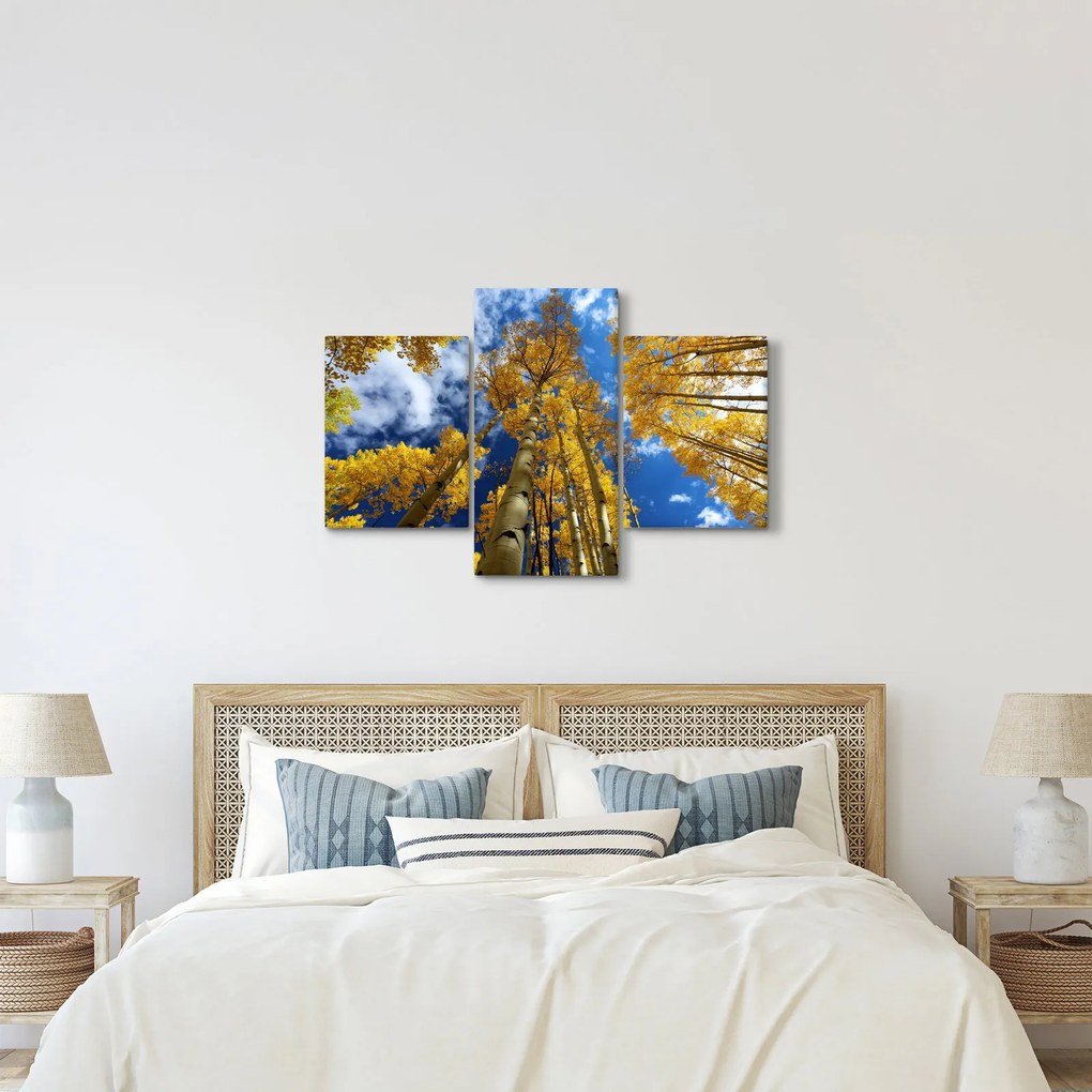 Tablou - Aspen (90x60 cm)