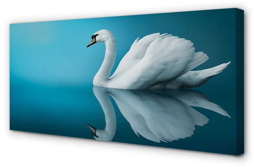 Tablouri canvas Swan în apă