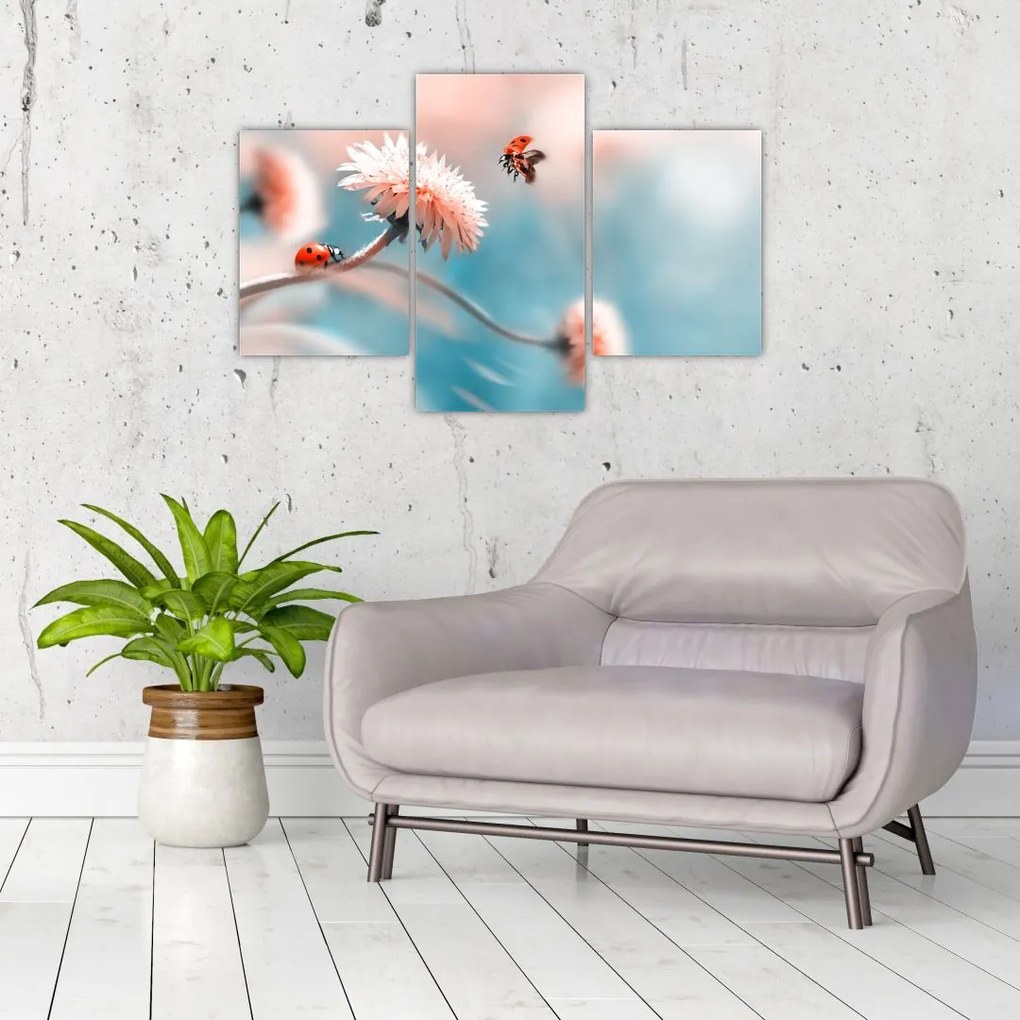 Tablou - Buburuze pe floare (90x60 cm)