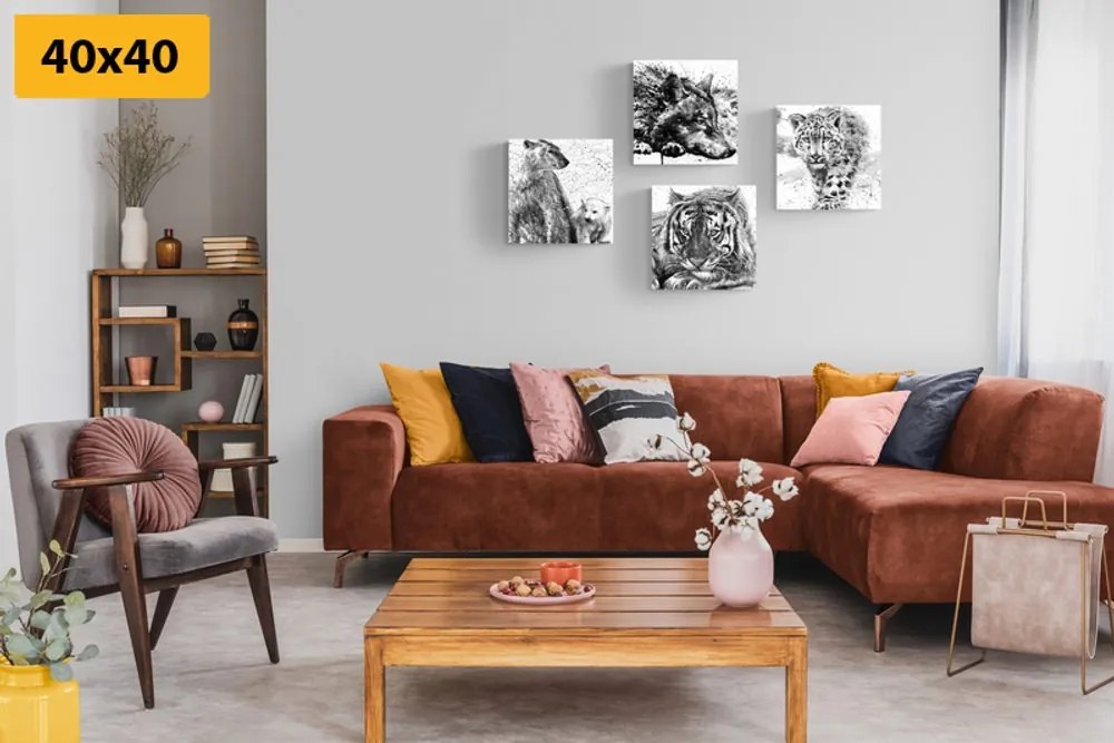 Set tablouri animale în design alb-negru de acuarelă
