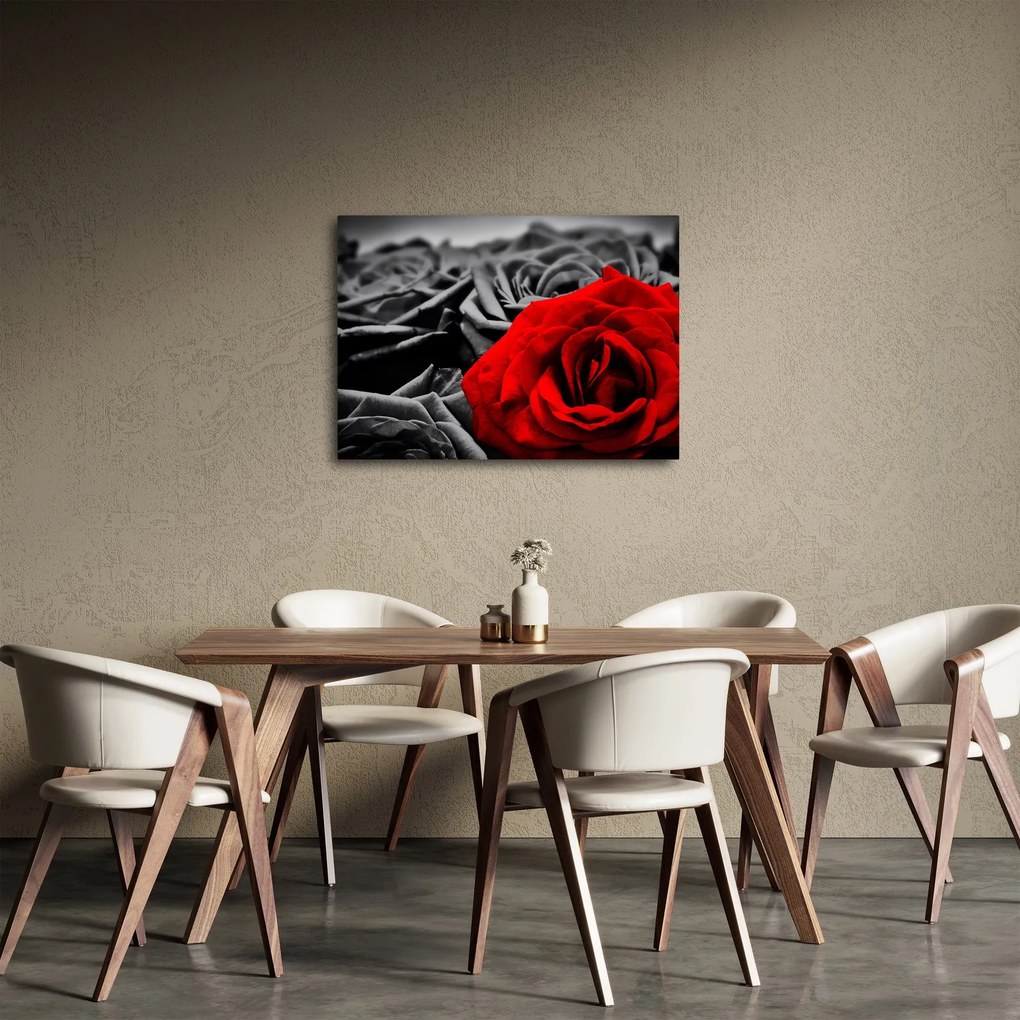Tablou - Flori de trandafir (70x50 cm)