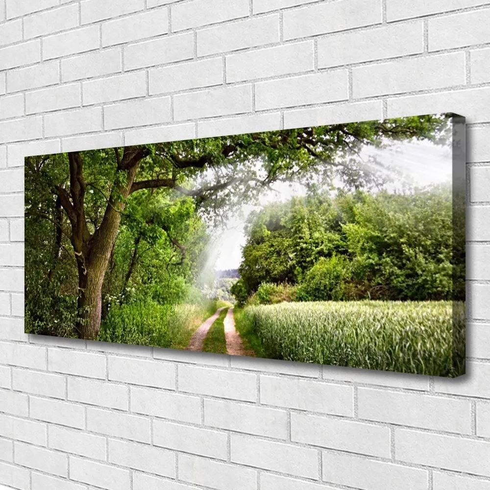 Tablou pe panza canvas Copaci Potecă Natura Brun Verde