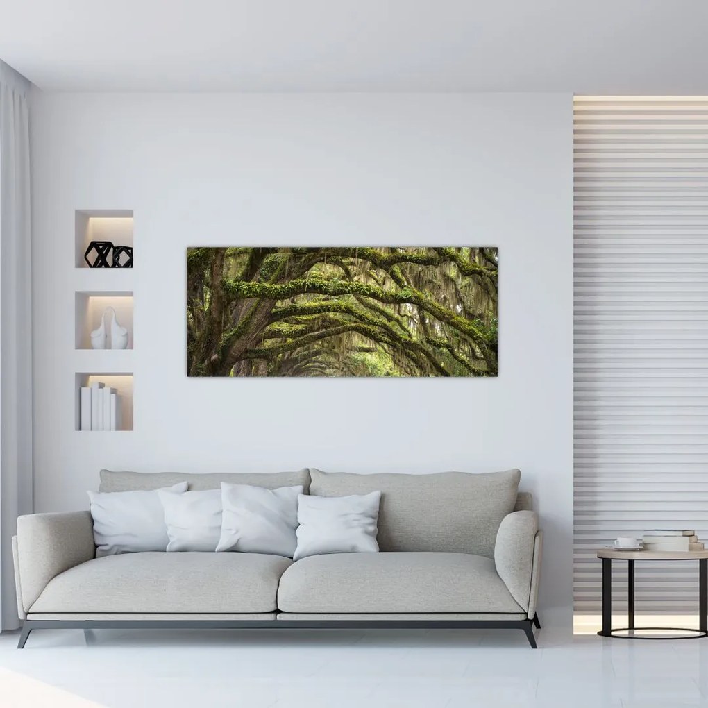 Tablou - Oaks Avenue, Charleston, Carolina de Sud, SUA (120x50 cm)