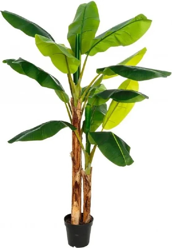 Planta artificiala decorativa PLATANERO VERDE 200cm