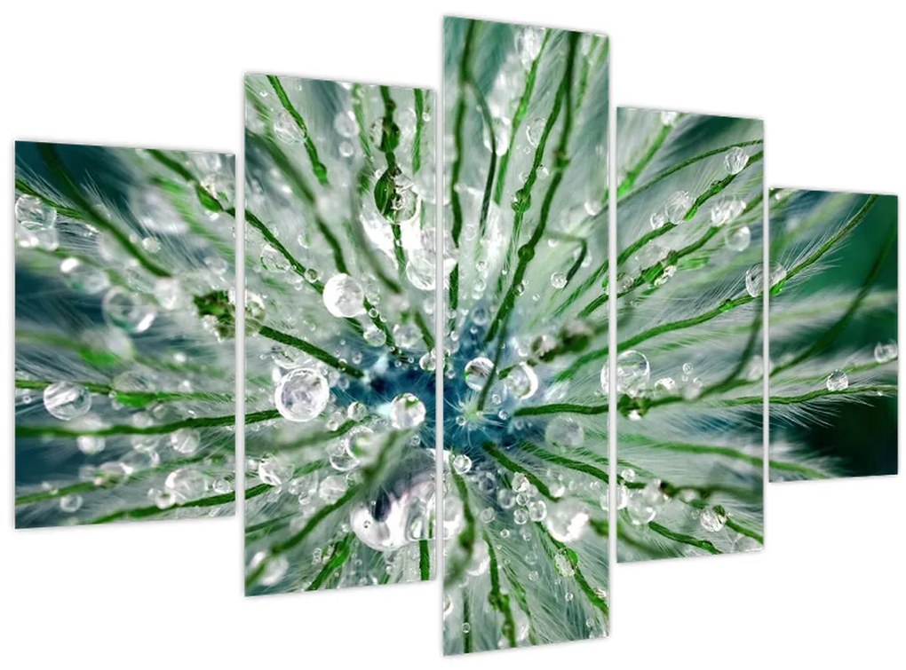 Tablou - Imagine macro a unei flori (150x105 cm)