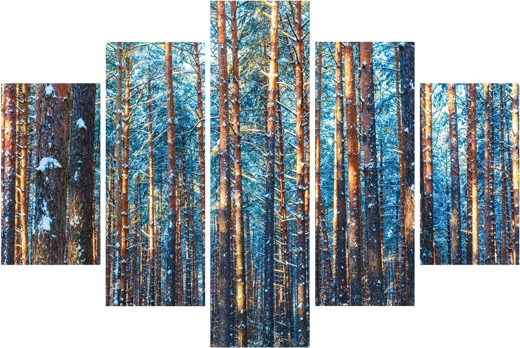 Tablou - Pădurea iarna (150x105 cm)