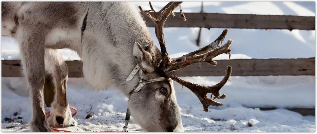 Tablou - Sâmbătă (120x50 cm)