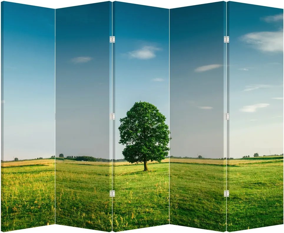 Paravan - Copaci pe luncă (210x170 cm)