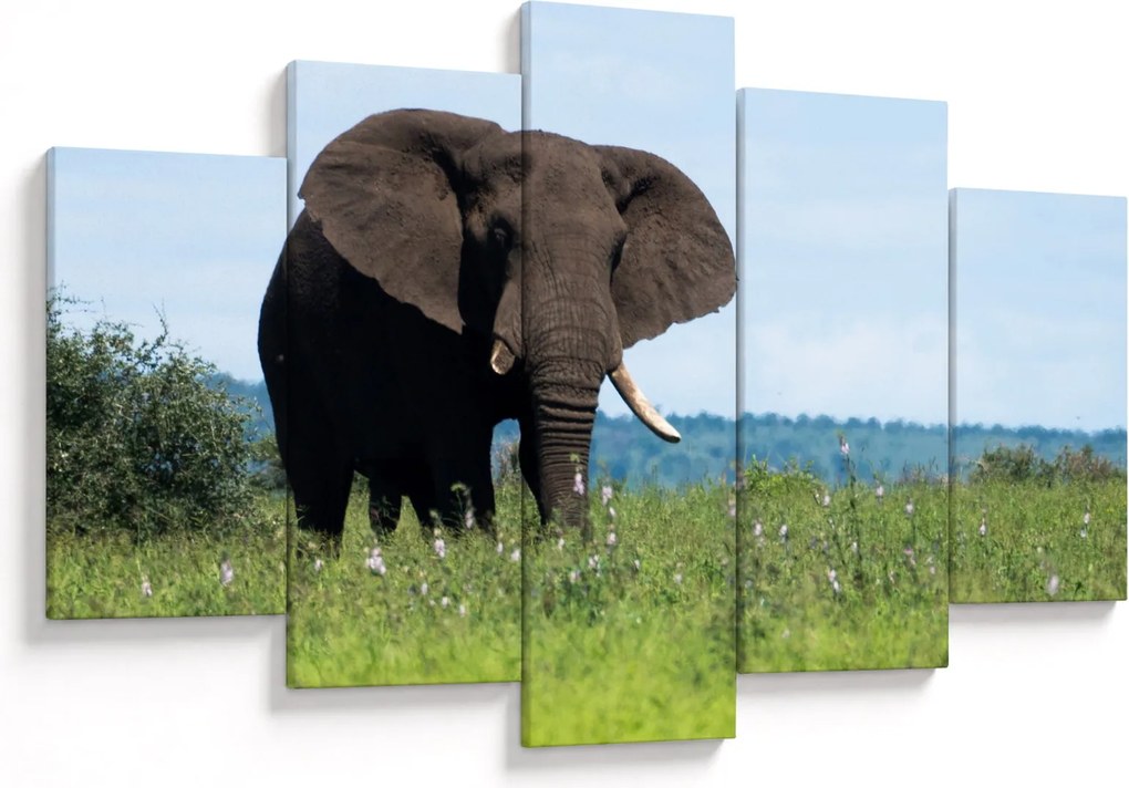 Tablou cu elefant (150x105 cm)