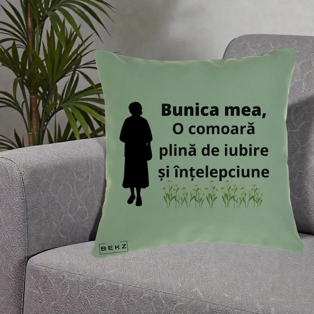 Cadou pentru Bunica - Perna Personalizata Bunica Mea Comoara Iubire Intelepciune Silueta cu Nepoata, 40x40 cm, Verde, Husa Detasabila, Perna Inclusa, BEKZ®