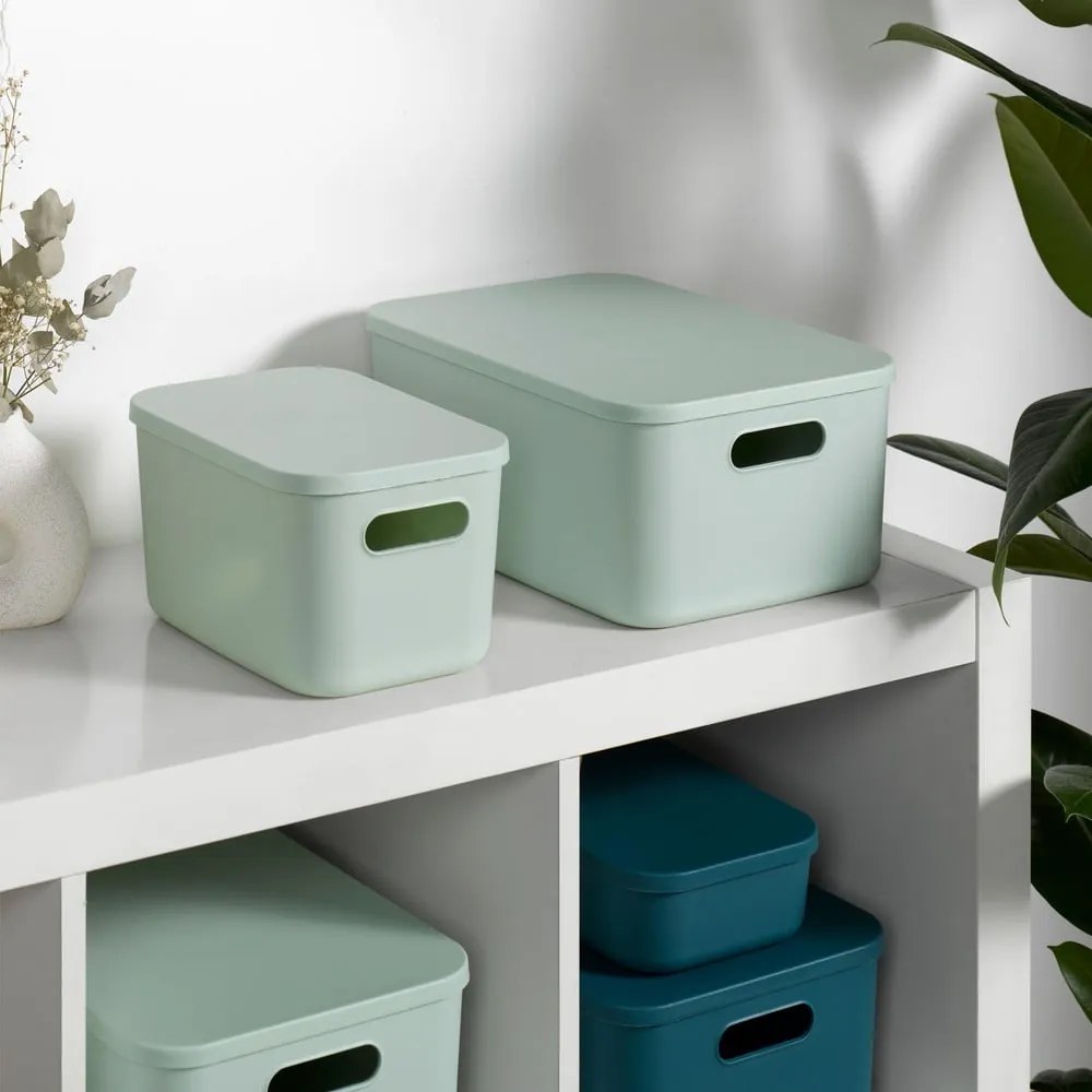 Cutie de depozitare verde-deschis din plastic cu capac 24,5x18x15 cm – Homéa