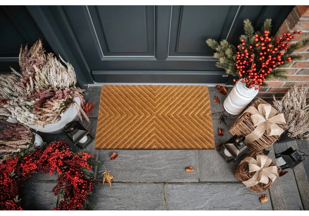 Covoraș de intrare din fibre de nucă de cocos 45x75 cm Geometric – Hanse Home