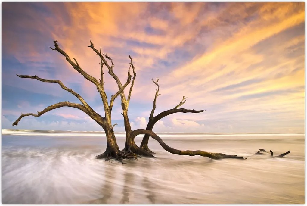 Tablou - Copacul în ocean (90x60 cm)