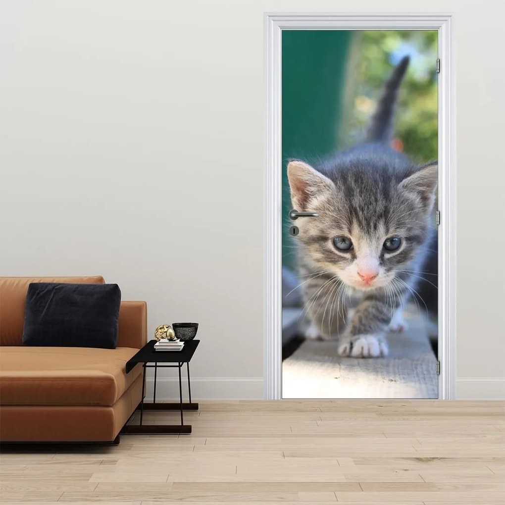 Fototapet pentru ușă - Pisoi (95x205cm)