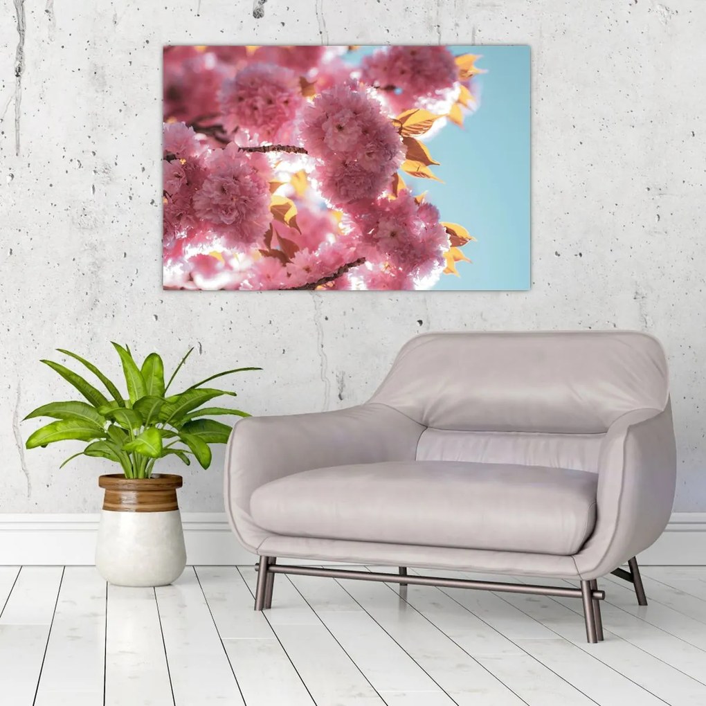 Tablou - Floare de cireș (90x60 cm)
