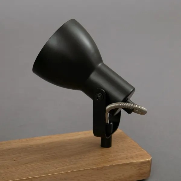 Spot SPOT 2xGU10/35W/230V Briloner 2902-025