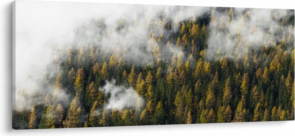 Tablou - Pădure în nori (120x50 cm)