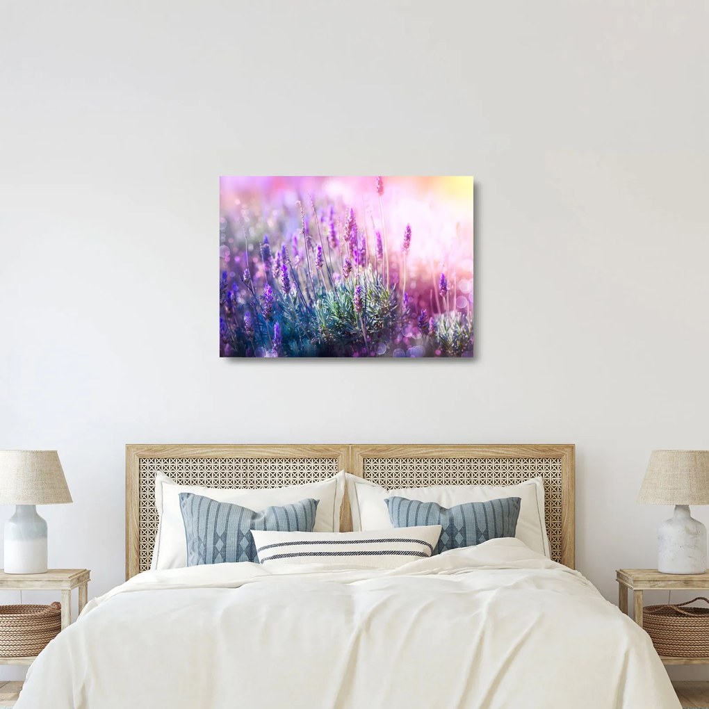 Tablou pe sticlă - Lavandă în strălucirea soarelui (70x50 cm)