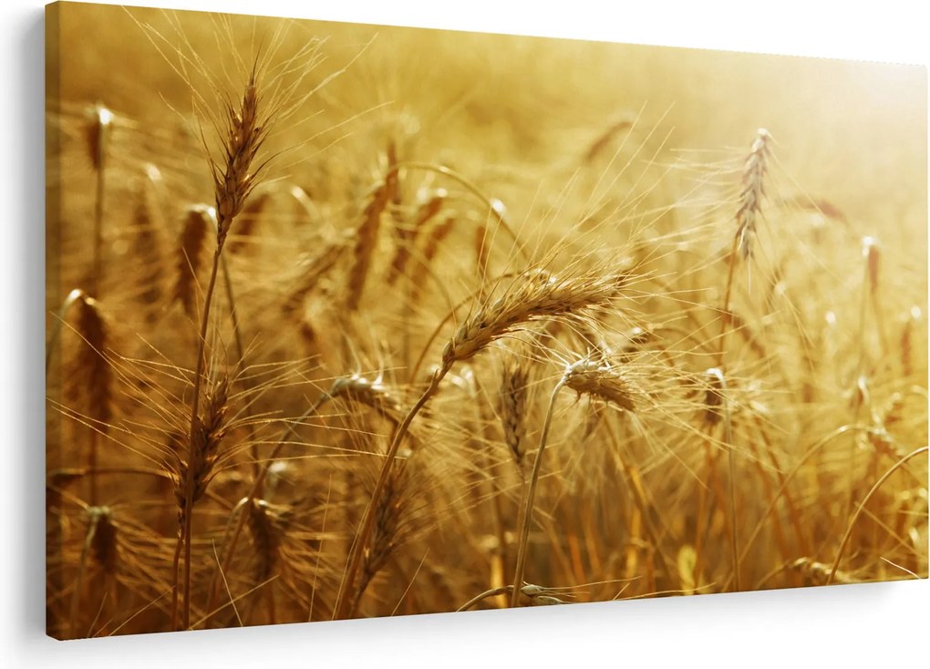 Tablou - Spice de cereale (90x60 cm)