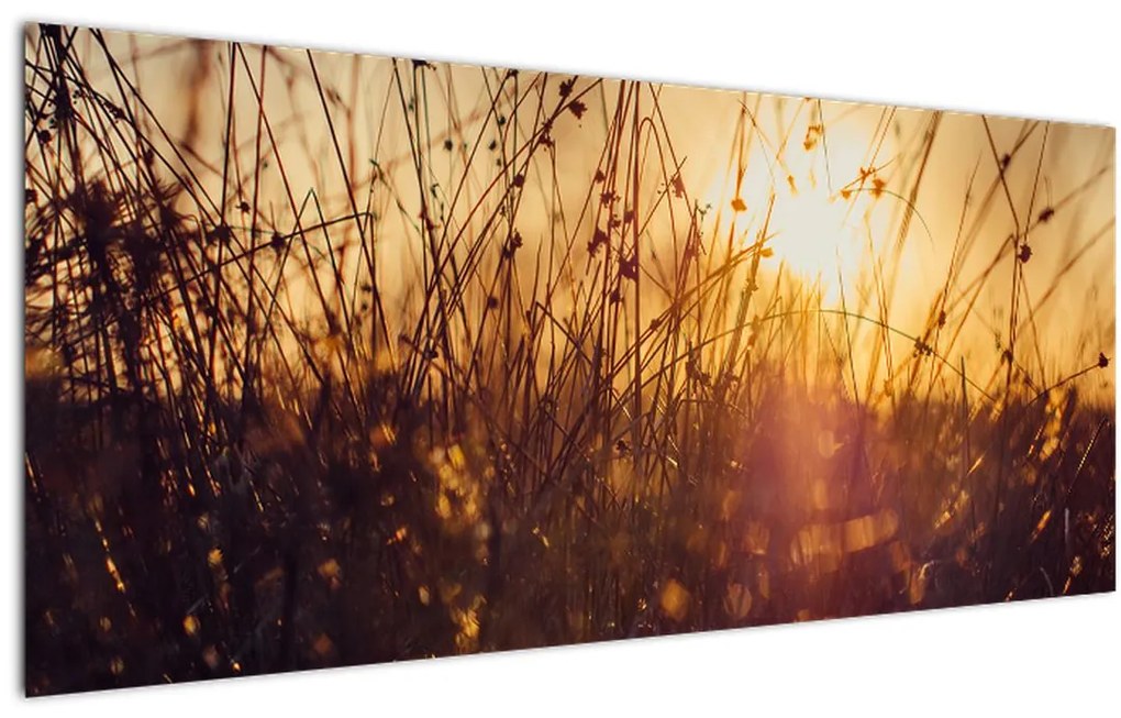 Tablou - Câmp la apus de soare (120x50 cm)