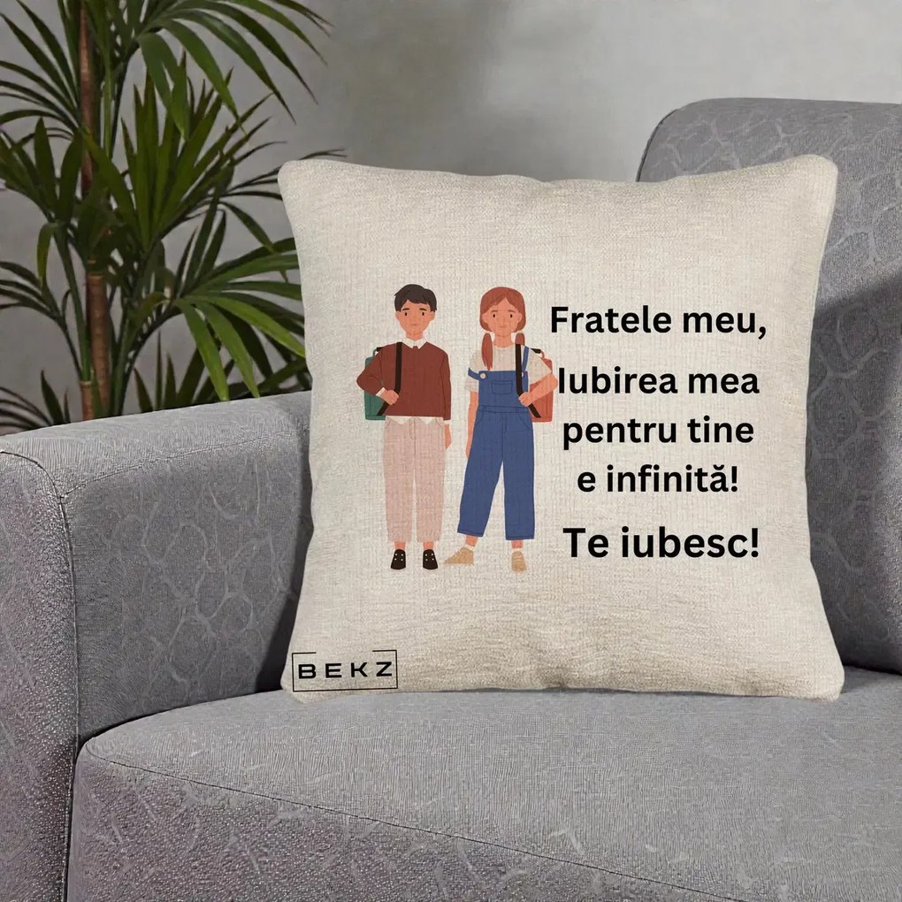 Cadou pentru Frate - Perna Personalizata Fratele Meu Te Iubesc Elevi Ilustratie Colorata, 40x40 cm, Bej Canapea, Husa Detasabila, Perna Inclusa, BEKZ®