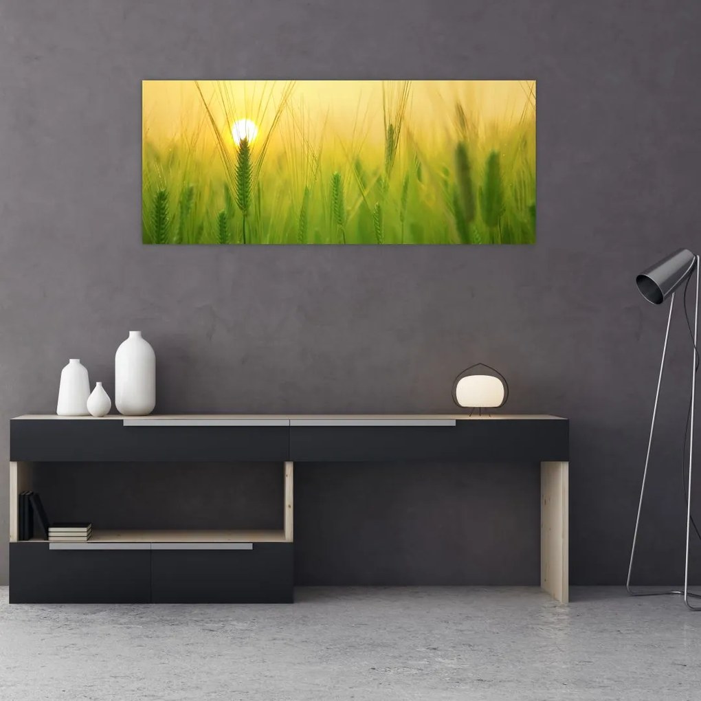 Tablou - Câmp cu cereale (120x50 cm)