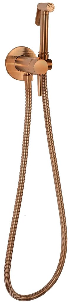 Baterie bideu  Lungo Loop Copper Brush