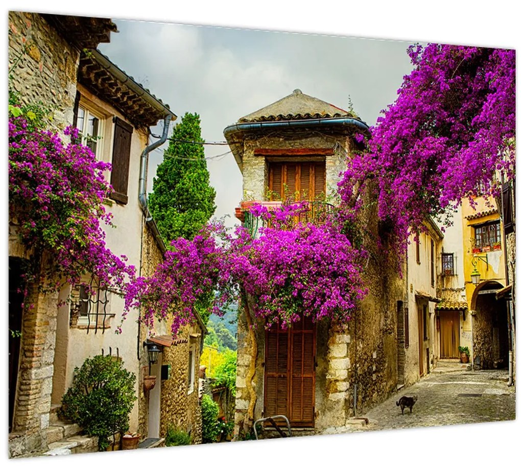 Tablou - Alee mediteraneană leneșă (70x50 cm)