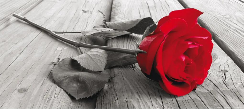 Fototapet Red rose -  202x90 cm
