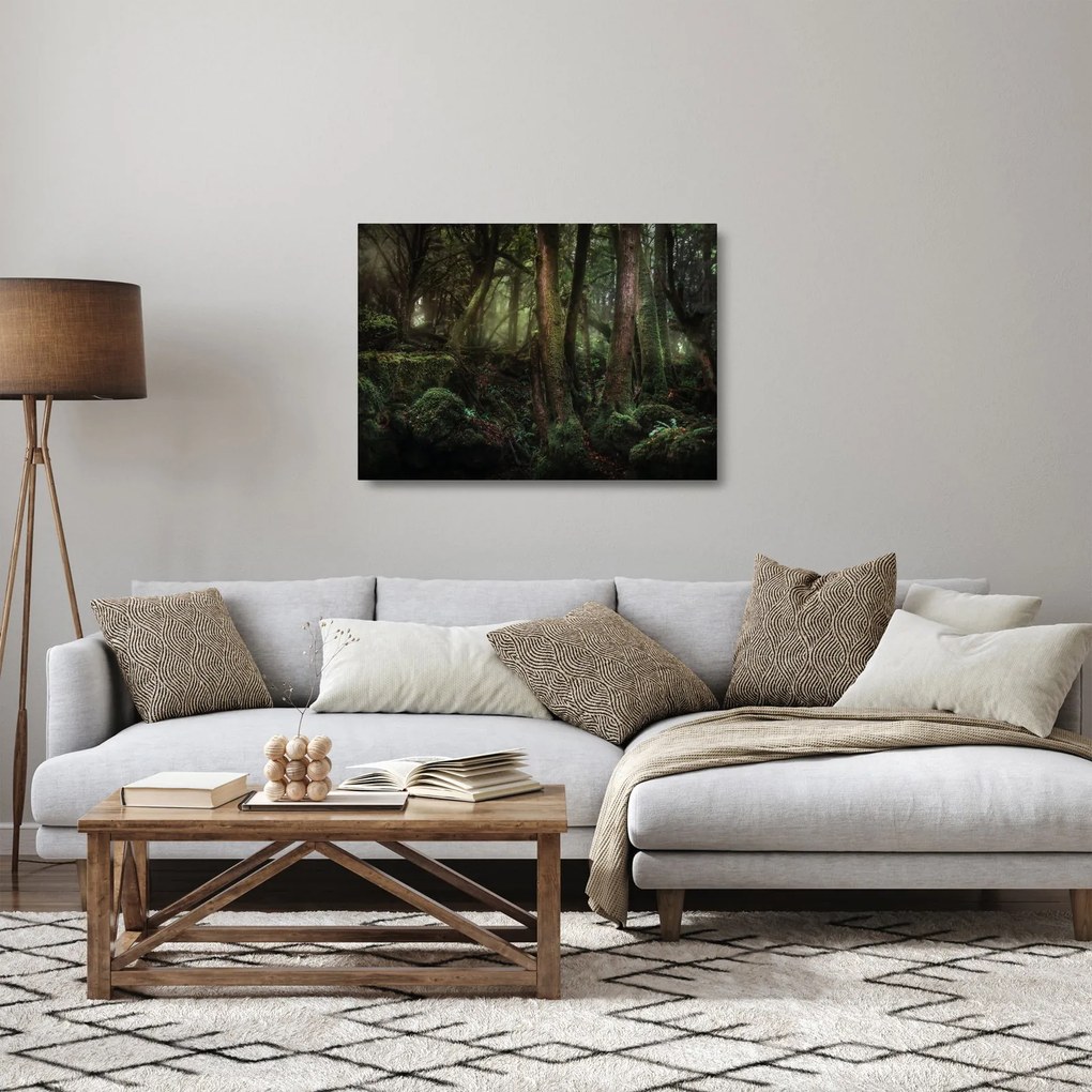 Tablou pe sticlă - Pădurea enigmatică (70x50 cm)