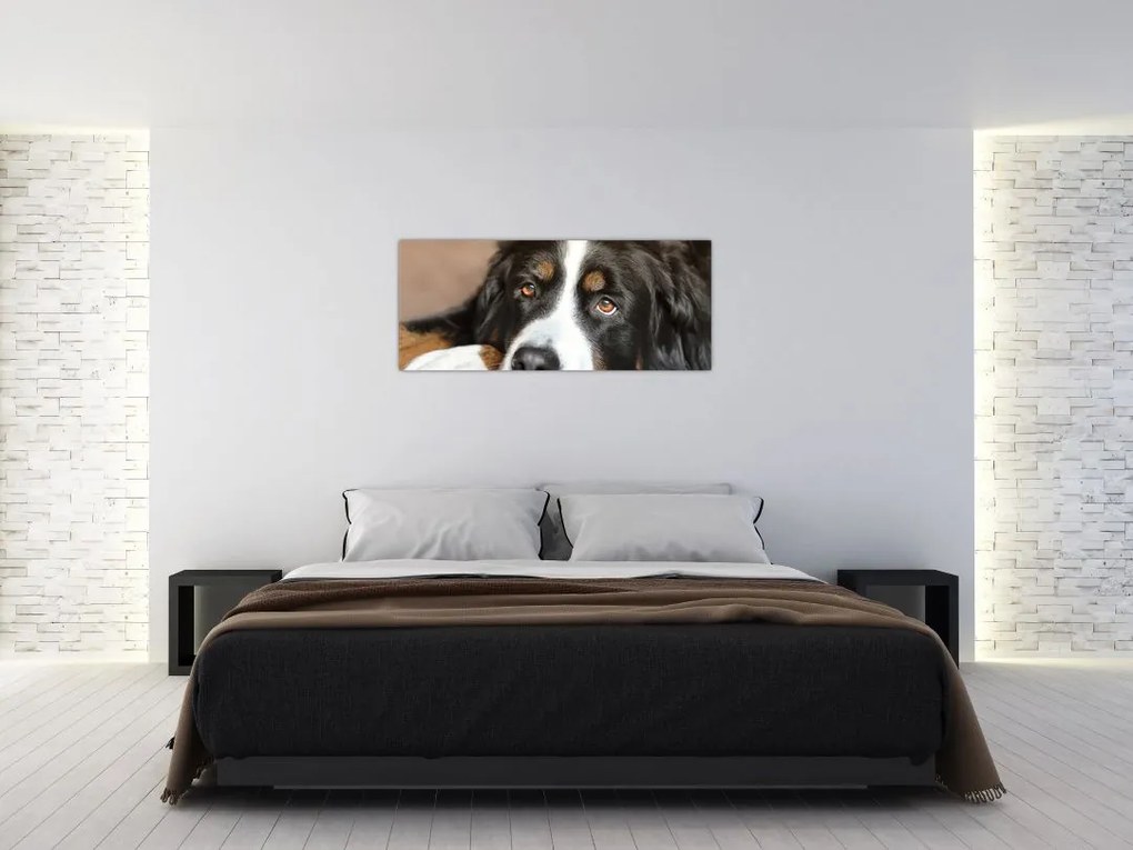 Tablou cu câine (120x50 cm)