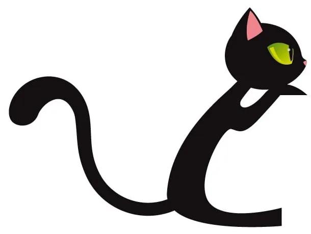 Autocolant Fanastick Black Cat