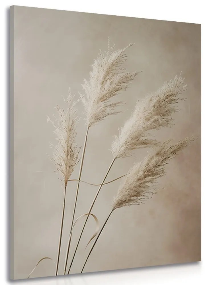 Tablou iarba uscată de pampas
