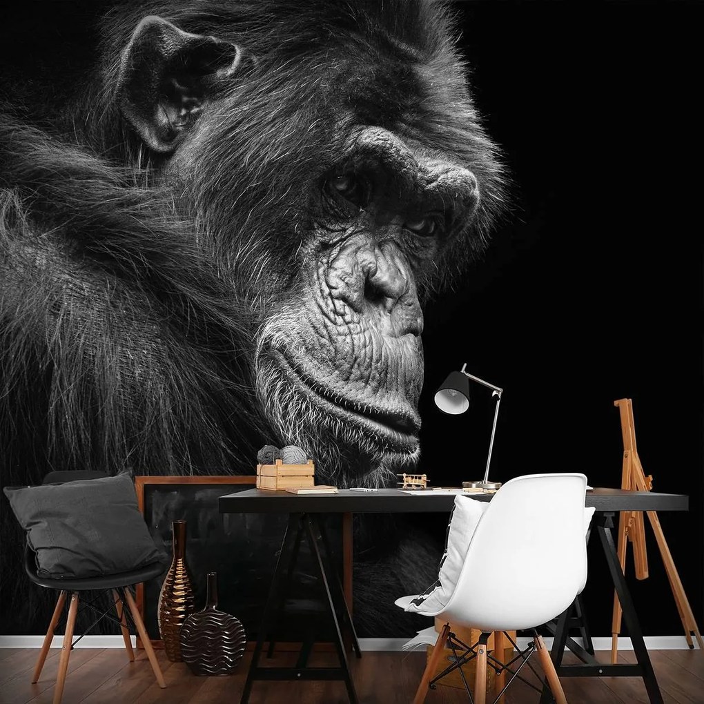 Fototapet - Gorila (152,5x104 cm)