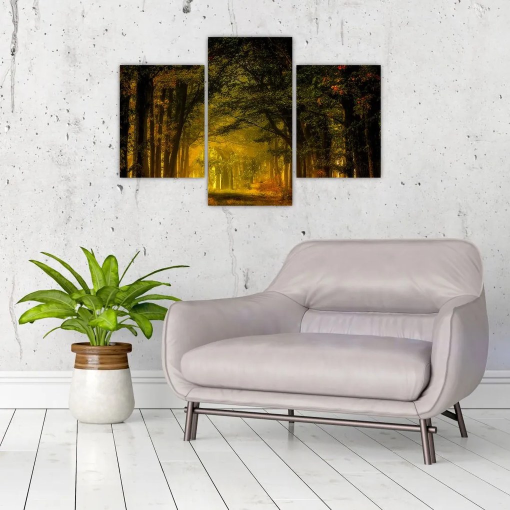 Tablou cu pădure (90x60 cm)