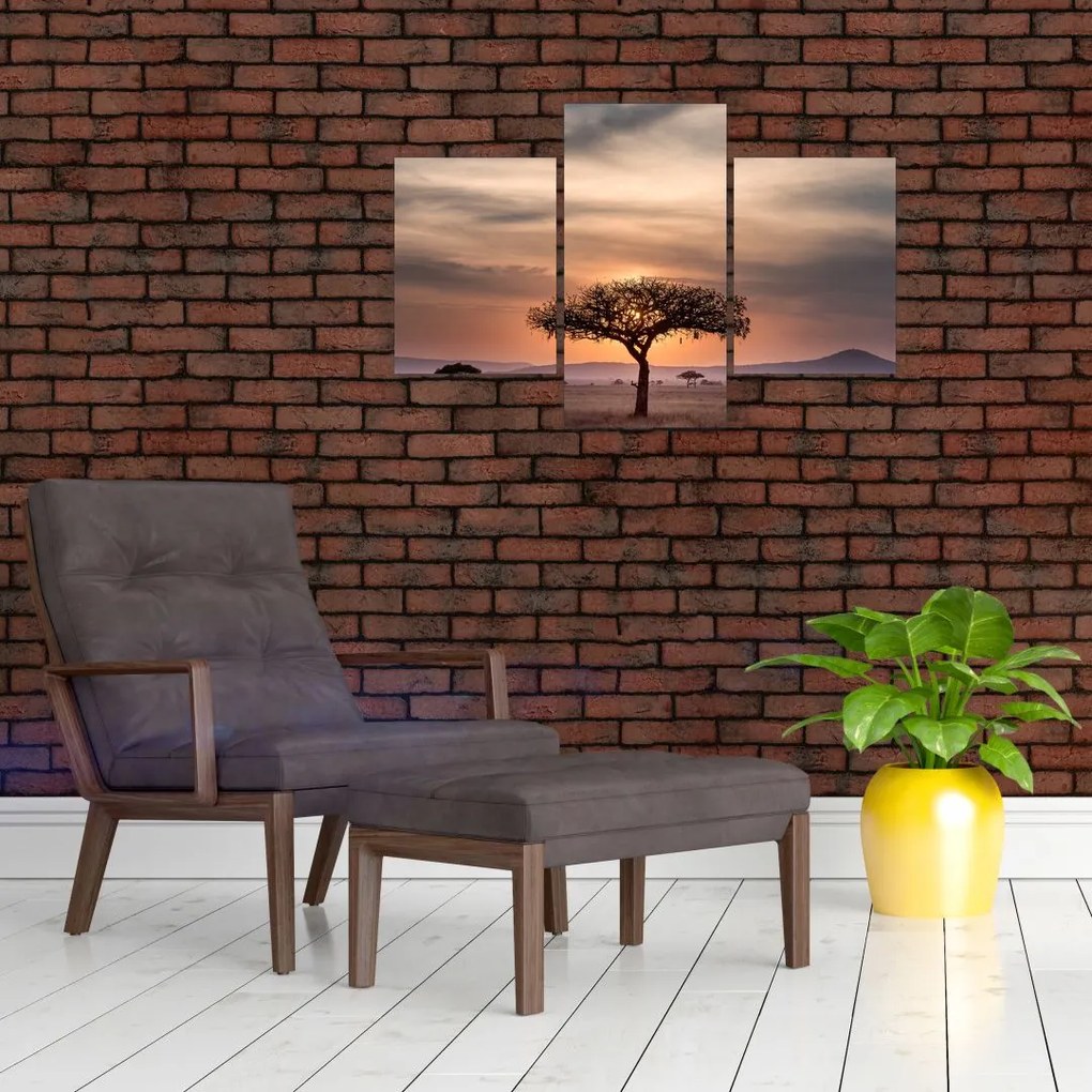 Tablou apusului de soare în Tanzania (90x60 cm)