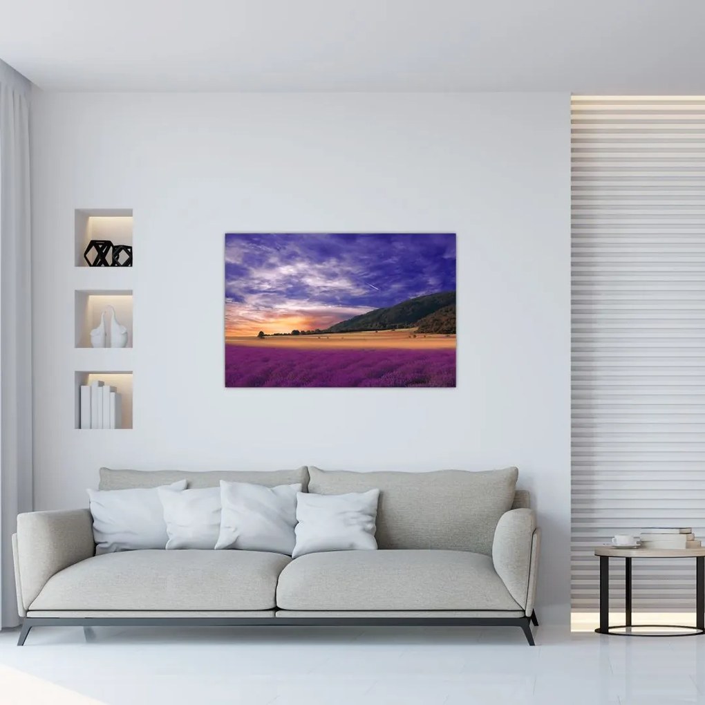 Tablou cu lunca cu lavandă (90x60 cm)