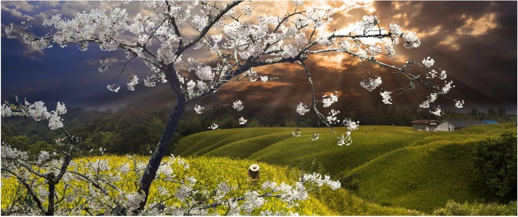 Tablou - Peisaj cu pomul înflorit (120x50 cm)