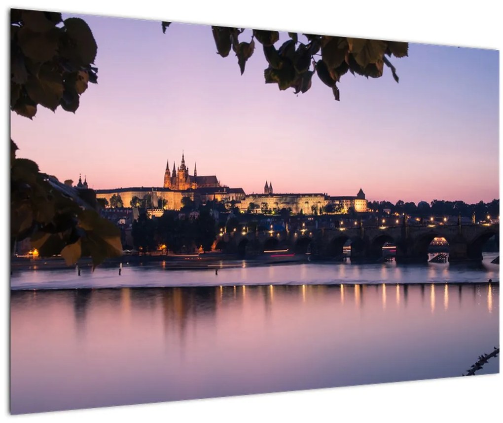 Tablou cu palatul din Praga și Vltava (90x60 cm)