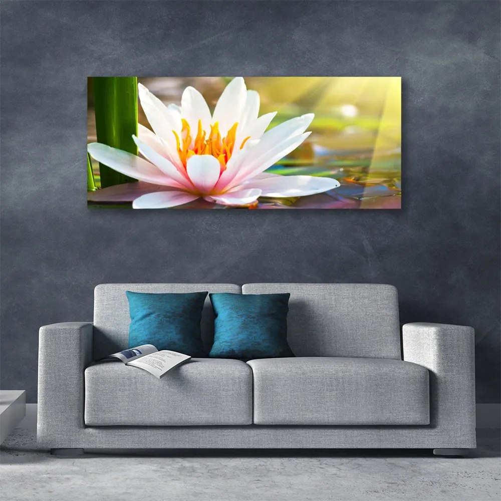 Tablou pe panza canvas Flori Floral Alb Roz