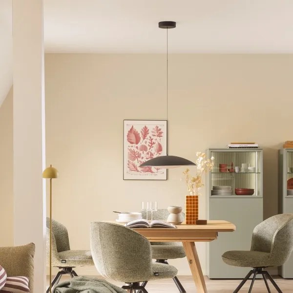 Schöner Wohnen LENTE 14606-18-LED, lustru suspendat pe cablu cu dimmer, LED 17 W, 230 V, Ø 40 cm, negru