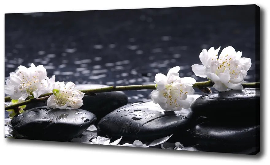 Imprimare tablou canvas Floare de cires