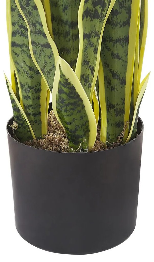 Plantă artificială 63 cm SAPLE. 1022764