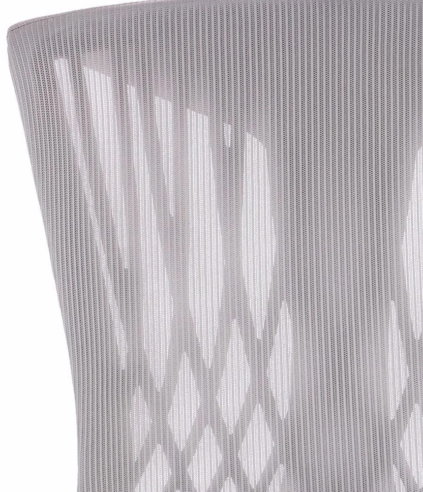 Scaun rotativ ergonomic de birou Ergomax gri deschis