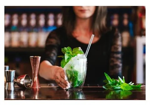 Căni 6 buc. cu perete dublu/pentru latte din sticlă 350 ml – Vialli Design