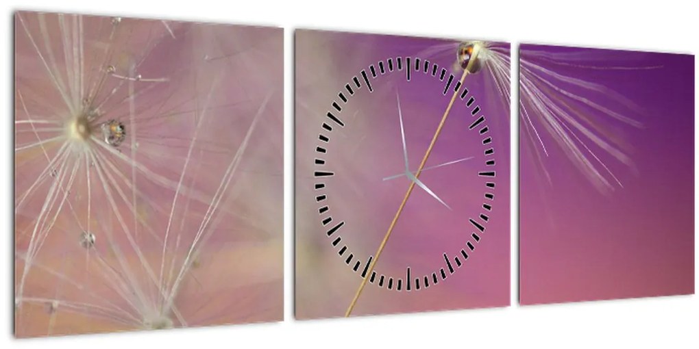 Tablou cu floarea norocul (cu ceas) (90x30 cm)